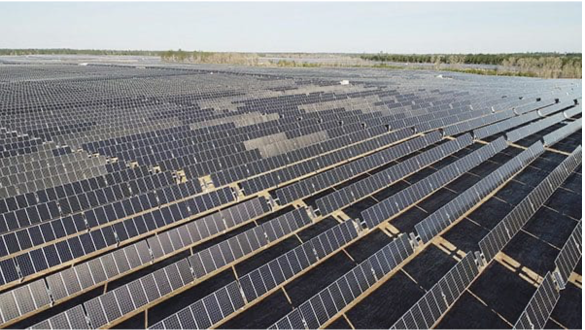 Photo taken from the Cooperative Energy official website 