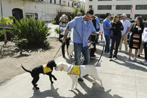 Chase Benoit, who is incarcerated at the San Quentin Rehabilitation Center, holds a pair of service dogs in training in San Quentin, Calif., Friday, March 28, 2025. (AP Photo/Eric Risberg)