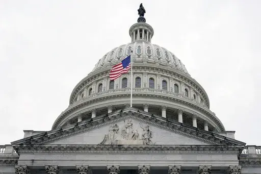 The Capitol is seen on Nov. 14, 2024, in Washington. (AP Photo/Mariam Zuhaib, File)
