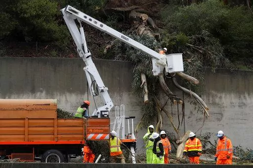 Caltrans workers clear the remains of a 100-foot eucalyptus tree from the northbound lanes of Highway 13 in Oakland, Calif., on Thursday, Dec. 23, 2021. Heavy overnight rains in Northern California left two people dead in a submerged car as authorities on Thursday urged residents of several Southern California mountain and canyon communities to voluntarily leave their homes because of possible mud and debris flows. (Jane Tyska/Bay Area News Group via AP)