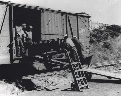 This image provided by Naval History and Heritage Command, shows African American Sailors of a naval ordnance battalion unloading aerial bombs from a railcar, circa 1943/44, in Port Chicago, Calif. The U.S. Navy has exonerated 256 Black sailors who were found to be unjustly punished in 1944 following a horrific port explosion that killed hundreds of service members and exposed racist double standards among the then-segregated ranks. (Naval History and Heritage Command/National Park Service via A