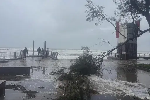 A tree lies fallen on the beach front following cyclone Alfred on the Gold Coast, Australia, Saturday, March 8, 2025. (AP Photo/John Pye)