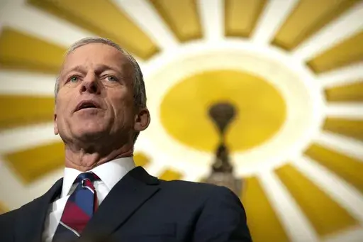 Senate Majority Leader John Thune of S.D., speaks to reporters on Capitol Hill, Tuesday, Jan. 14, 2025, in Washington. (AP Photo/Mark Schiefelbein)