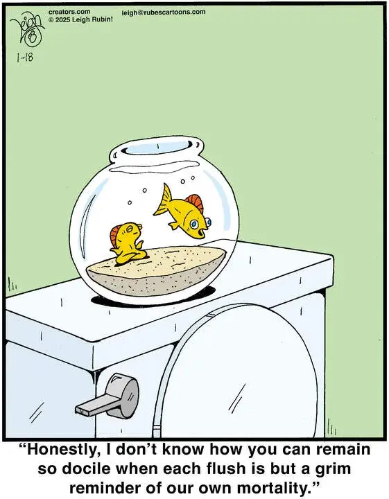 Rubes® for Jan 18, 2025