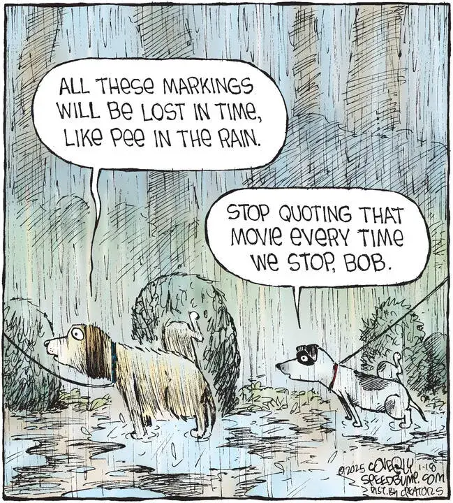 Speed Bump for Jan 18, 2025