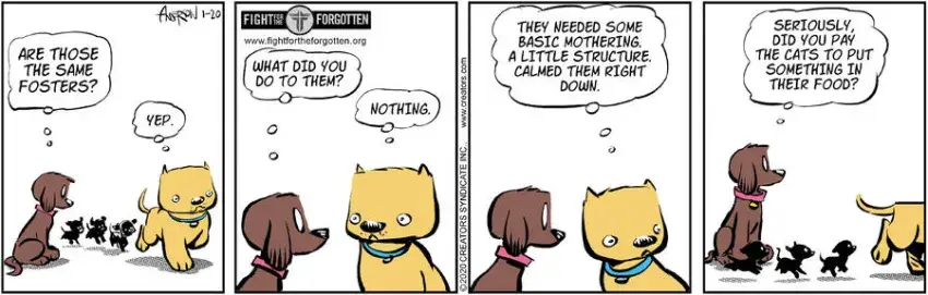 Dog Eat Doug for Jan 20, 2025