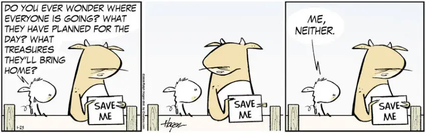 The Barn for Jan 23, 2025