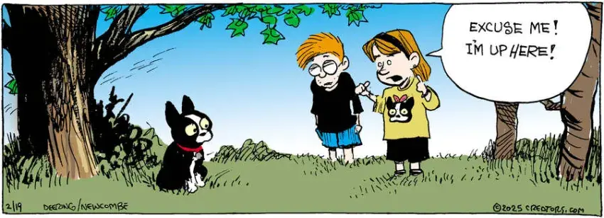 Zack Hill for Feb 19, 2025