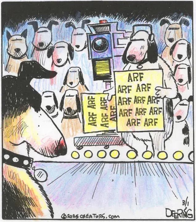 Strange Brew for Mar 01, 2025