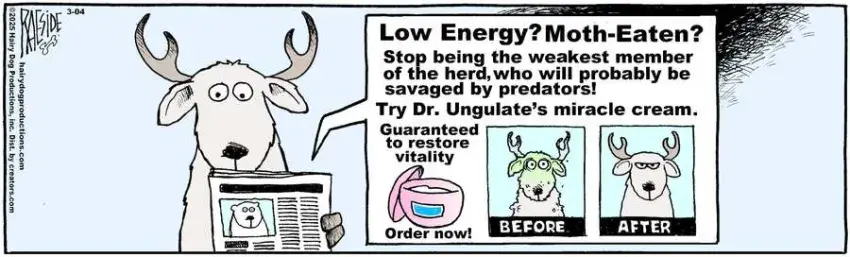 The Other Coast for Mar 04, 2025