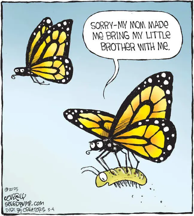 Speed Bump for Mar 04, 2025