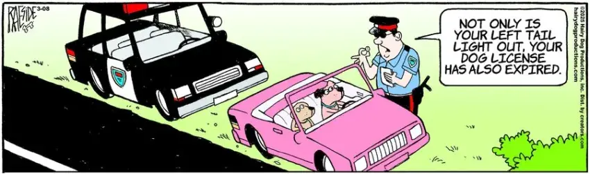 The Other Coast for Mar 08, 2025