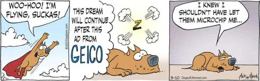 Dogs of C-Kennel for Mar 10, 2025