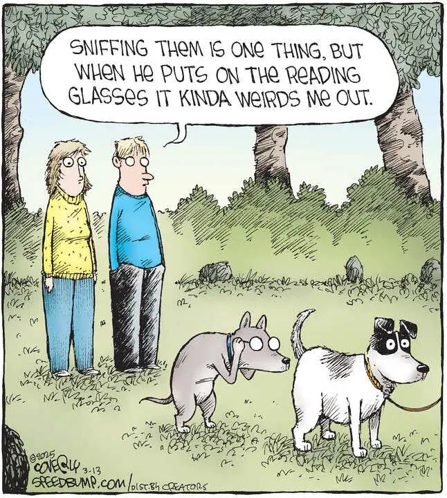 Speed Bump for Mar 13, 2025