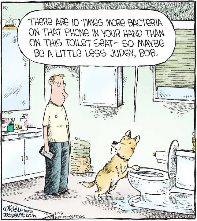 Speed Bump for Mar 28, 2025