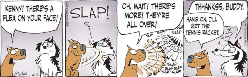 Dogs of C-Kennel for Apr 02, 2025