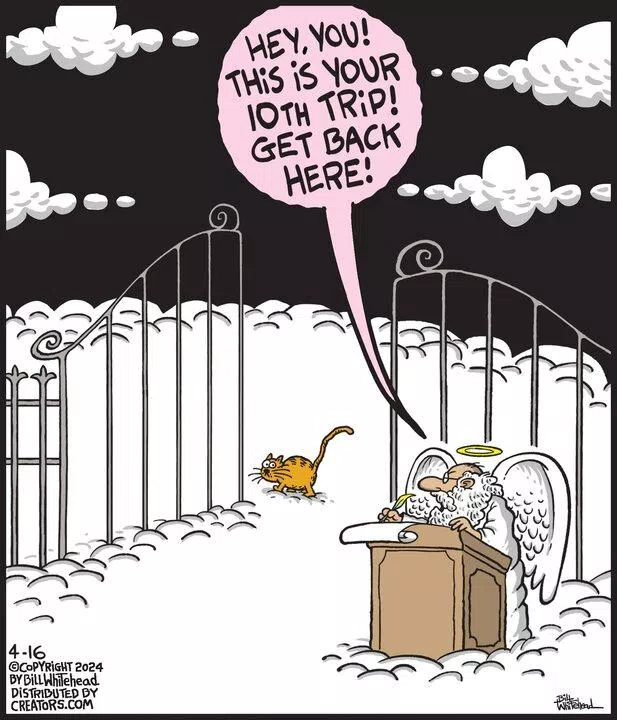 Free Range for Apr 16, 2024