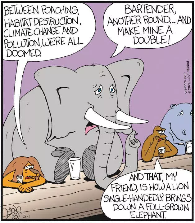 Rubes® for May 01, 2024