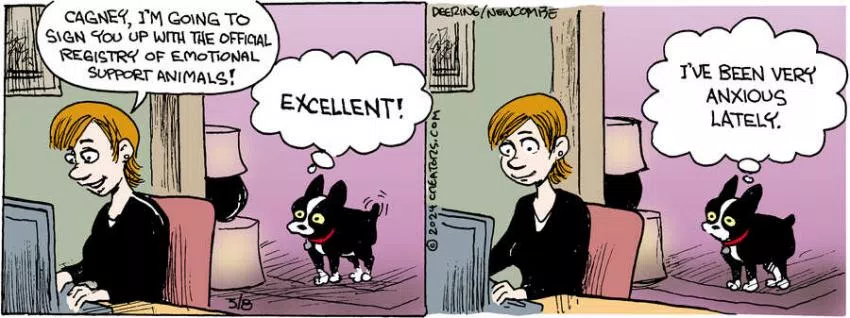 Zack Hill for May 08, 2024