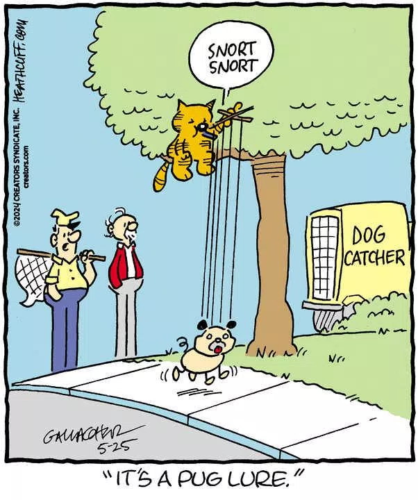 Heathcliff for May 25, 2024