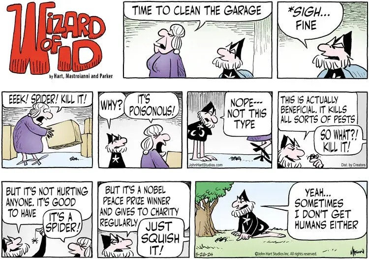 Wizard of Id for May 26, 2024