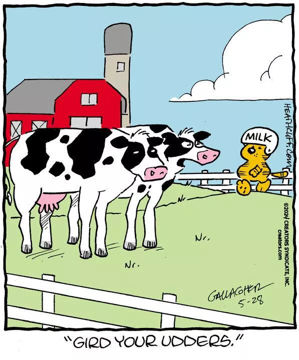 Heathcliff for May 28, 2024