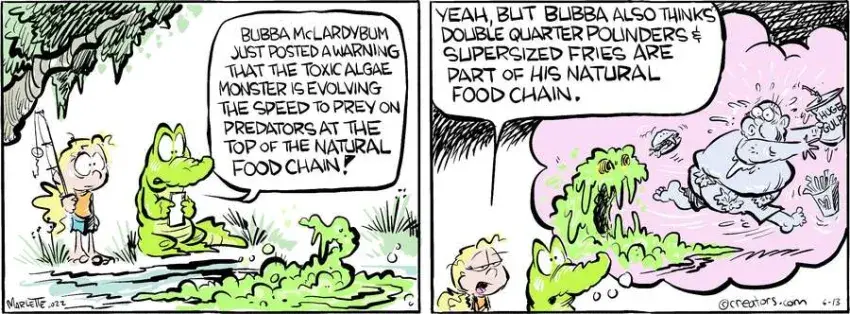 Shrimp and Grits for Jun 13, 2024