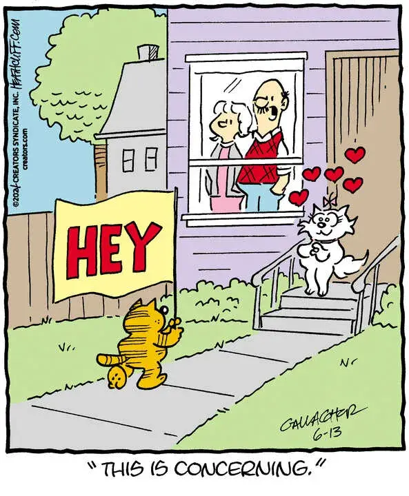 Heathcliff for Jun 13, 2024