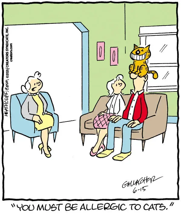 Heathcliff for Jun 15, 2024