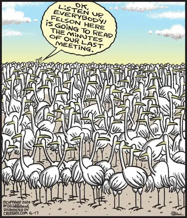 Free Range for Jun 17, 2024