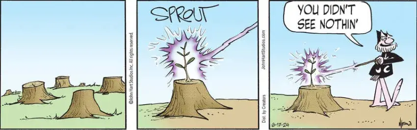 Wizard of Id for Jun 17, 2024