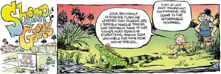 Shrimp and Grits for Jul 14, 2024