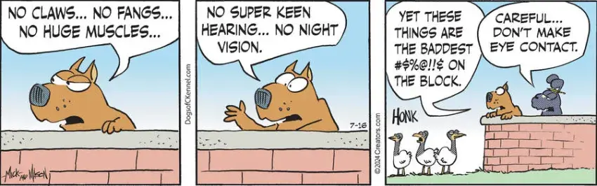 Dogs of C-Kennel for Jul 16, 2024