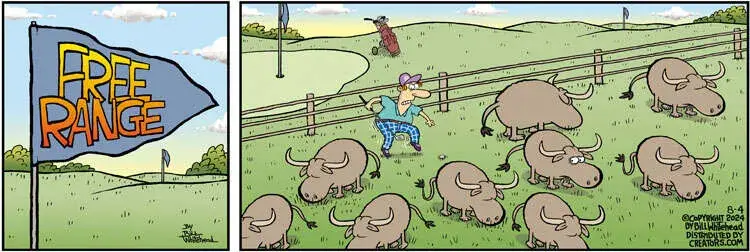 Free Range for Aug 04, 2024