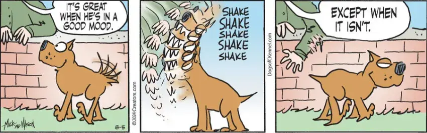 Dogs of C-Kennel for Aug 05, 2024