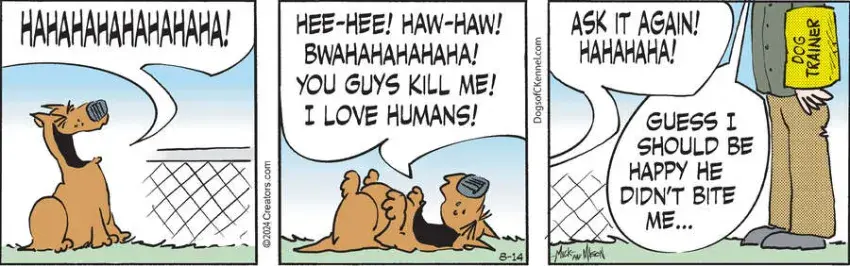 Dogs of C-Kennel for Aug 14, 2024