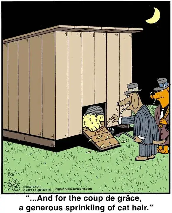 Rubes® for Aug 21, 2024