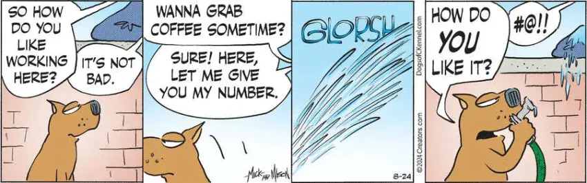 Dogs of C-Kennel for Aug 24, 2024