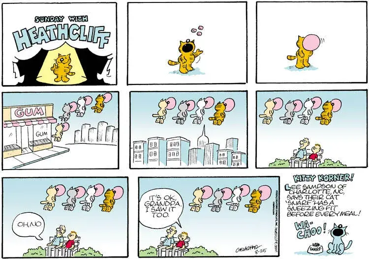 Heathcliff for Aug 25, 2024