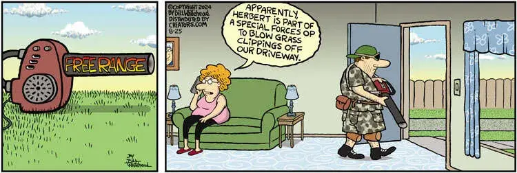 Free Range for Aug 25, 2024