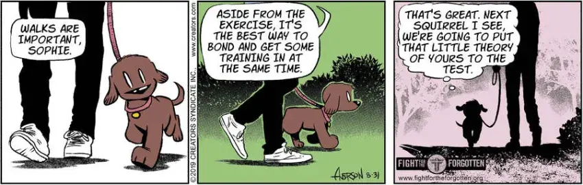 Dog Eat Doug for Aug 31, 2024