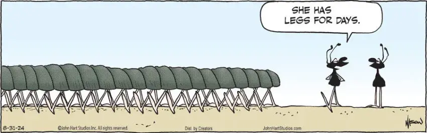 B.C. for Aug 31, 2024