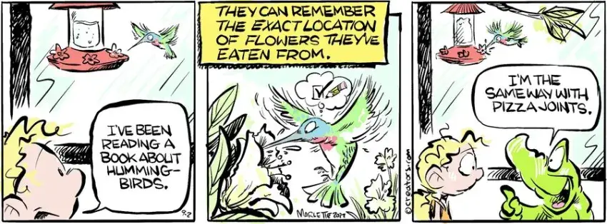 Shrimp and Grits for Sep 02, 2024