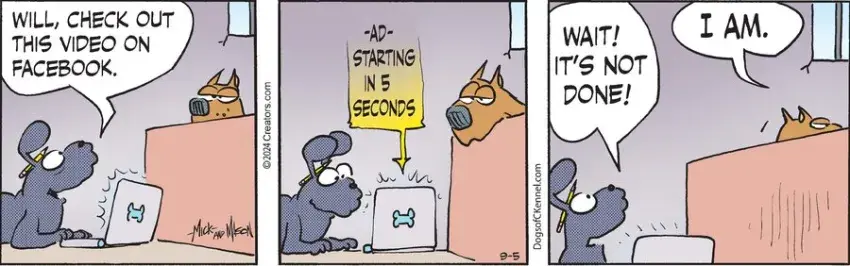 Dogs of C-Kennel for Sep 05, 2024