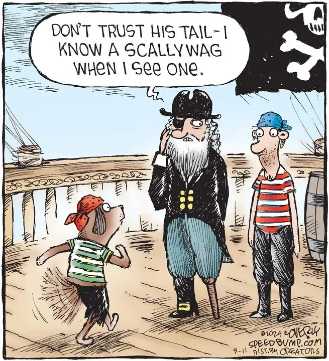 Speed Bump for Sep 11, 2024