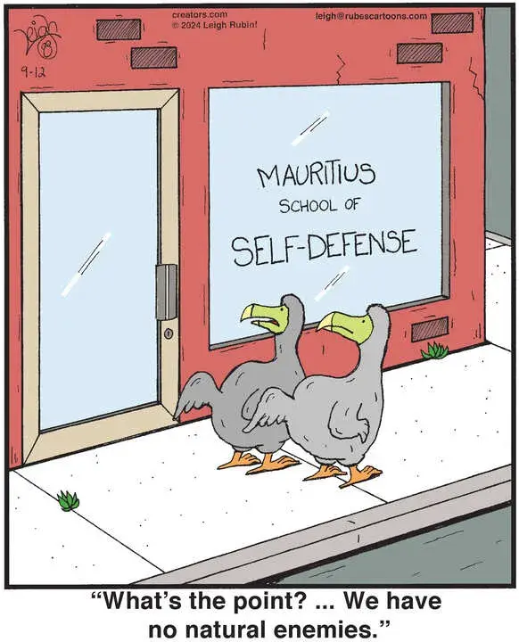 Rubes® for Sep 12, 2024