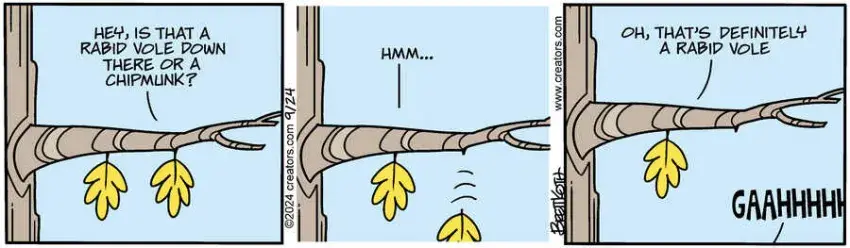 Diamond Lil for Sep 24, 2024