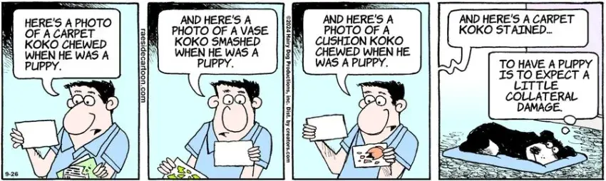 The Other Coast for Sep 26, 2024