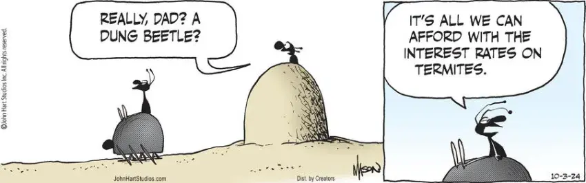 B.C. for Oct 03, 2024