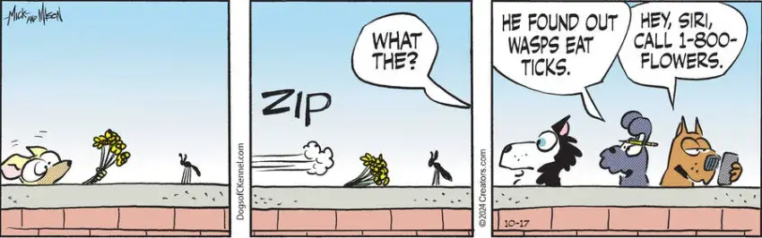 Dogs of C-Kennel for Oct 17, 2024